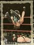 2004 Fleer WWE Chaos #51 Rob Van Dam