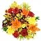 Seasonal Colors