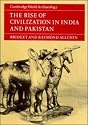 The Rise of Civilization in India and Pakistan (Cambridge World Archaeology)