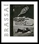 Brassai