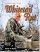 Hunting The Whitetail Rut