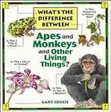 Whats the Difference Between Apes and Monkeys and Other Living Things?
