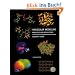 Molecular Modelling: Principles and Applications