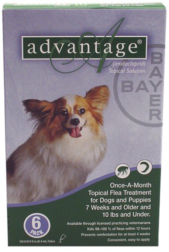 Advantage Dogs <10 lb 6pk