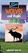 Wolves and Wapiti [VHS]