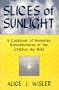 Slices Of Sunlight, A Cookbook of Memories:  Remembrances of The Children We Held