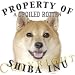 Shiba Inu Mousepad Dog Mouse Pad Property Of