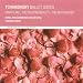 The Nutcracker - Suite, Op. 71a - No. 2f: Danse Des Mirlitons (dance Of The Reed Pipes) The Nutcracker - Suite, Op. 71a - No. 2f: Danse Des Mirlitons (dance Of The Reed Pipes)