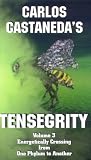 Tensegrity Volume 3 [VHS]