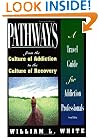 Pathways from the Culture of Addiction to the Culture of Recovery: A Travel Guide for Addiction Professionals