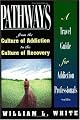 Pathways from the Culture of Addiction to the Culture of Recovery: A Travel Guide for Addiction Professionals