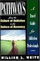Pathways from the Culture of Addiction to the Culture of Recovery: A Travel Guide for Addiction Professionals