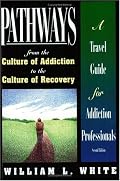 Pathways from the Culture of Addiction to the Culture of Recovery: A Travel Guide for Addiction Professionals