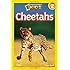 National Geographic Readers: Cheetahs