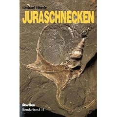 Juraschnecken