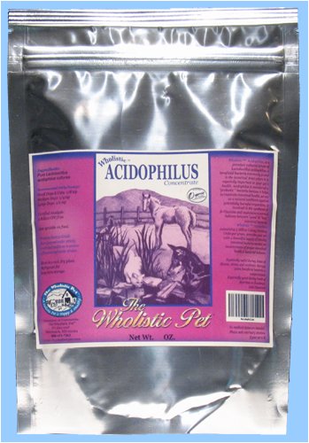 Wholistic Acidophilus 16 oz