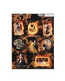 The Hunger Games Movie Sticker 8 pc. Sticker Set