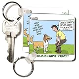 Dog Care - Lassie Like Cartoon Negotiating Timmys Location - Set Of 4 Key Chains