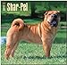 Shar-Pei 2015 Square 12x12 (Multilingual Edition)