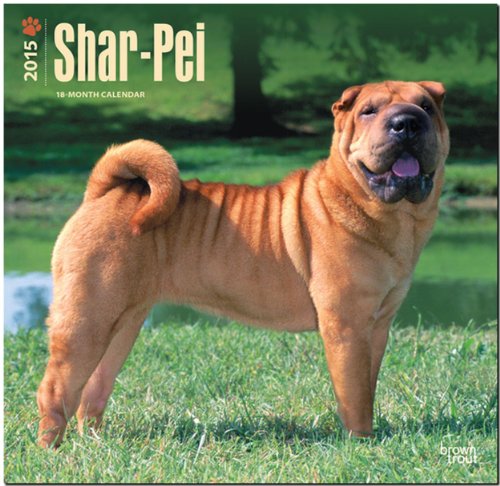 Shar-Pei 2015 Square 12x12 (Multilingual Edition)