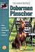 Guide to Owning a Doberman Pinscher (Re Dog)