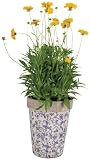 Esschert Design USA Aged Ceramic Round Nested Flowerpots, Set of 3