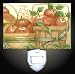 Country Apples Decorative Night Light