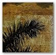 Palma I by Ivan Reyes 12"x12" Art Print Poster Latin