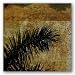 Palma I by Ivan Reyes 12"x12" Art Print Poster Latin