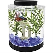 Tetra LED Half Moon Betta Aquarium, 1.1-Gallon
