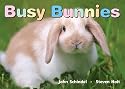 Busy Bunnies