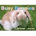 Busy Bunnies