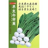 奈良県の特産!早生今市 (ナント育成) 数量:8ml / ナント種苗 奈良県の特産!早生今市 (ナント育成) 数量:8ml / ナント種苗