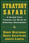 Strategy Safari : A Guided Tour Through the Wilds of Strategic Management