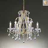 ENDO�V�����f���A