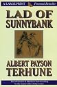 Lad of Sunnybank (Thorndike Press Large Print Perennial Bestsellers Series)