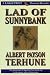 Lad of Sunnybank (Thorndike Press Large Print Perennial Bestsellers Series)