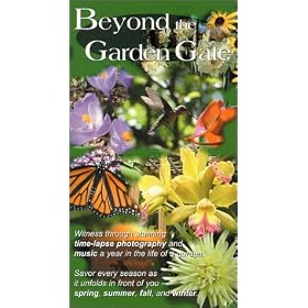 Beyond the Garden Gate