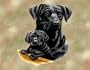Black Lab and Puppy Woven Lap Square (Throw Blanket)