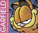 Garfield 2003 Day-To-Day Block Calendar