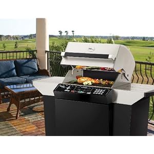 Dimplex Power Chef Electric Grill