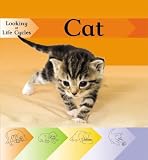 Cat (Looking at Life Cycles)