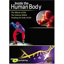NOVA Digital Field Trip: Inside the Human Body (The Miracle of Life / The Universe Within / Cracking the Code of Life)