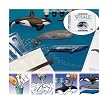 Eyewitness Whale Casting Kit (Blue/ Orca/ Sperm & a Whale Tooth)