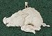 Arkansas Razorbacks Giant 2 1/2 W x 1 1/2 H Running Razorback Pendant - 14KT Gold Jewelry