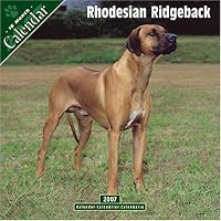 Rhodesian Ridgeback 2007 Wall Calendar