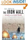 The Iron Wall: Israel and the Arab World