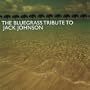 The Bluegrass Tribute to Jack Johnson