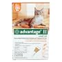 Advantage (Cat) Feline -Orange 0-10lbs/6pck