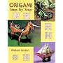 Origami Step by Step